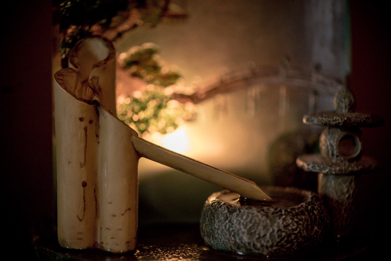 Naturopathic and Homeopathic Medicine Clinic